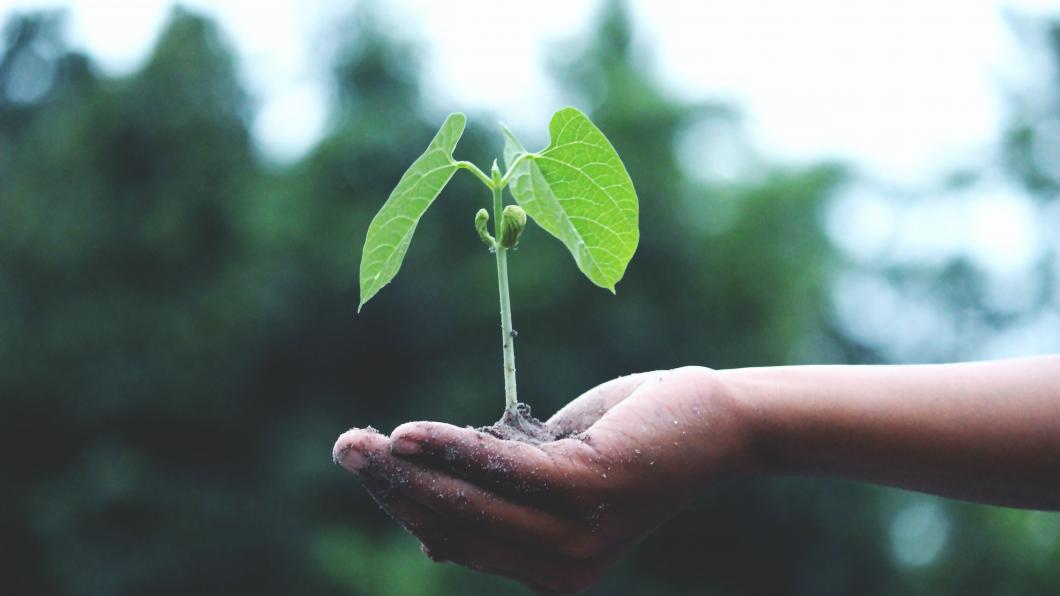 groen klimaat