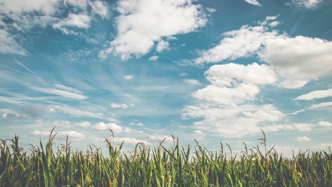 schone lucht