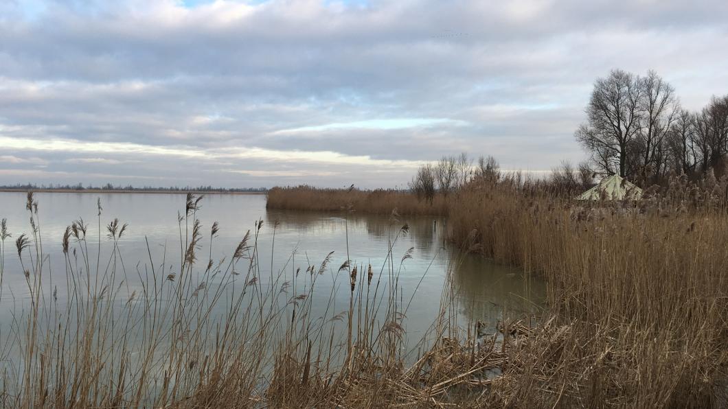 foto_natuur.jpg