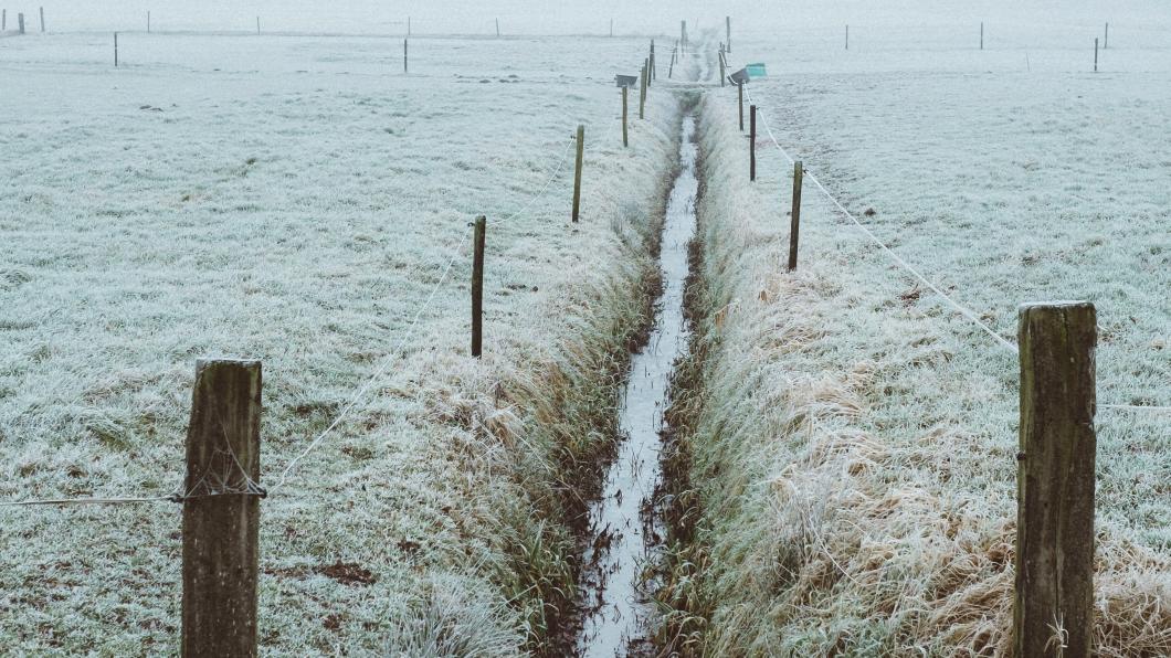 Landbouw