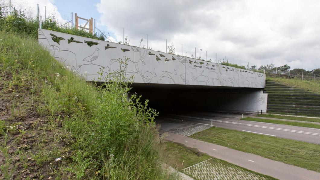 Ecoduct Boele Staal Ecoduct Boele Staal