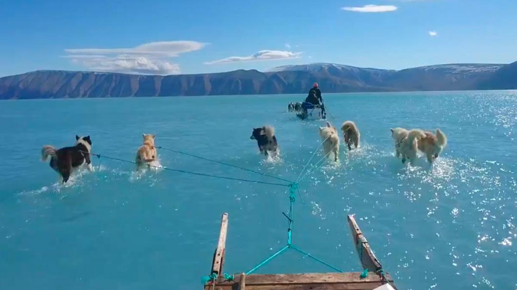 Deze foto lijkt een tafereel onder een meditteraanse blauwe lucht, maar is op 13 juni genomen in Groenland. Deze sledehonden merken het effect van klimaatverandering. Foto afkomstig uit video van Steffen M. Olsen (@SteffenMalskaer) op Twitter