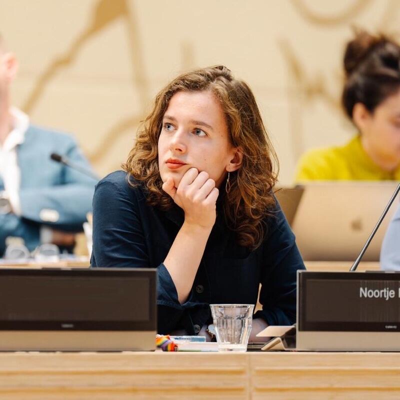 Noortje Flink