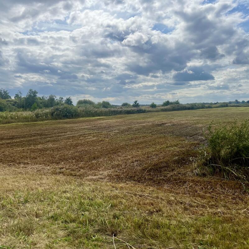 Natuur