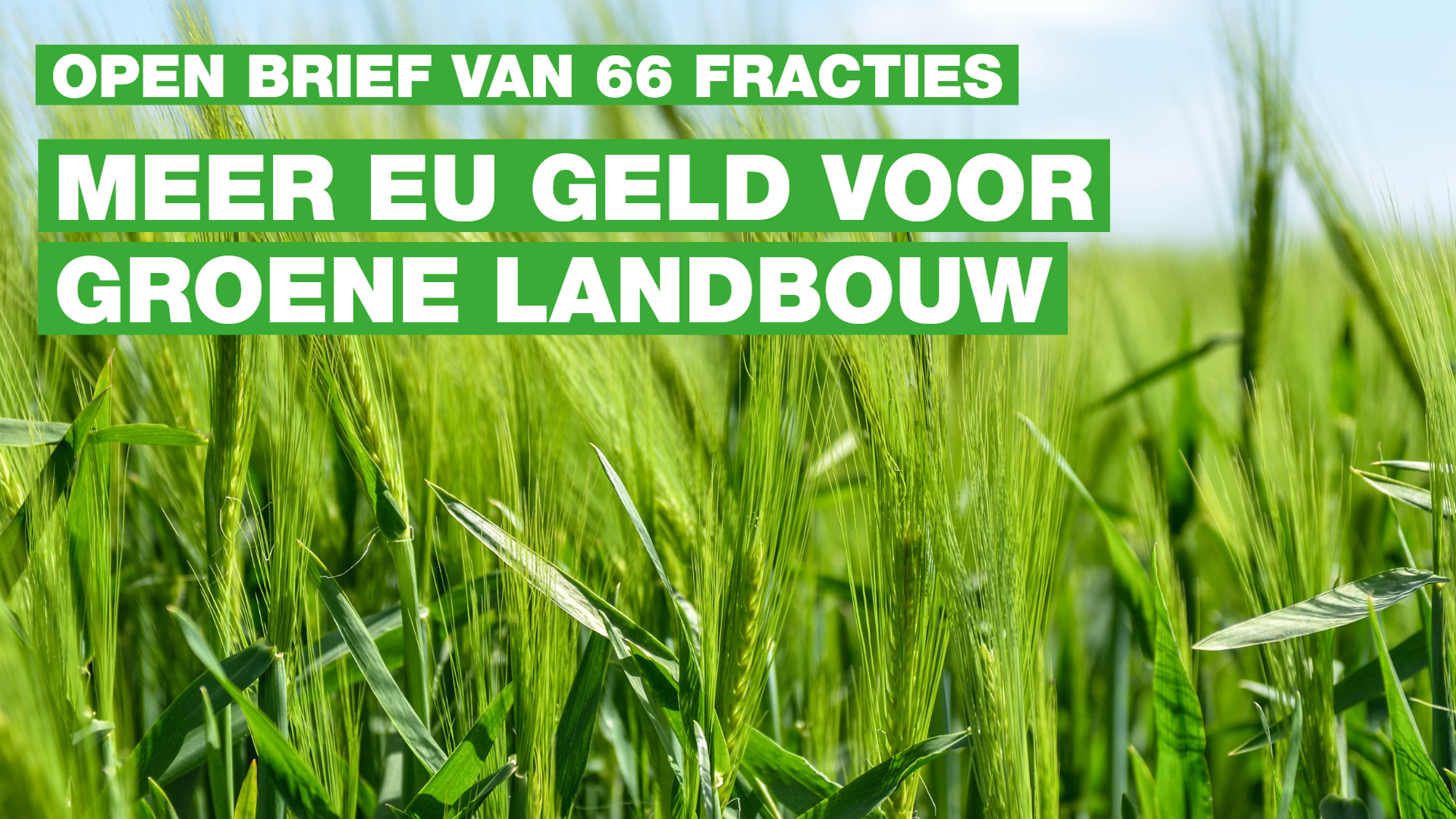 GroenLinks groene landbouw
