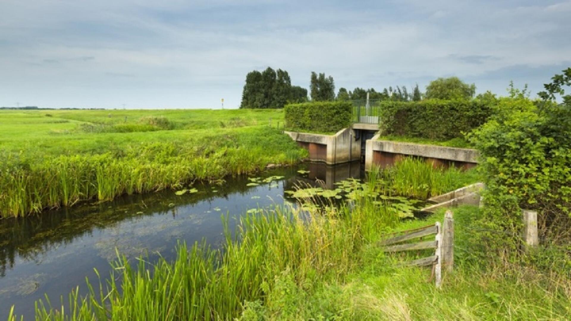 Foto Water Natuurlijk.jpg