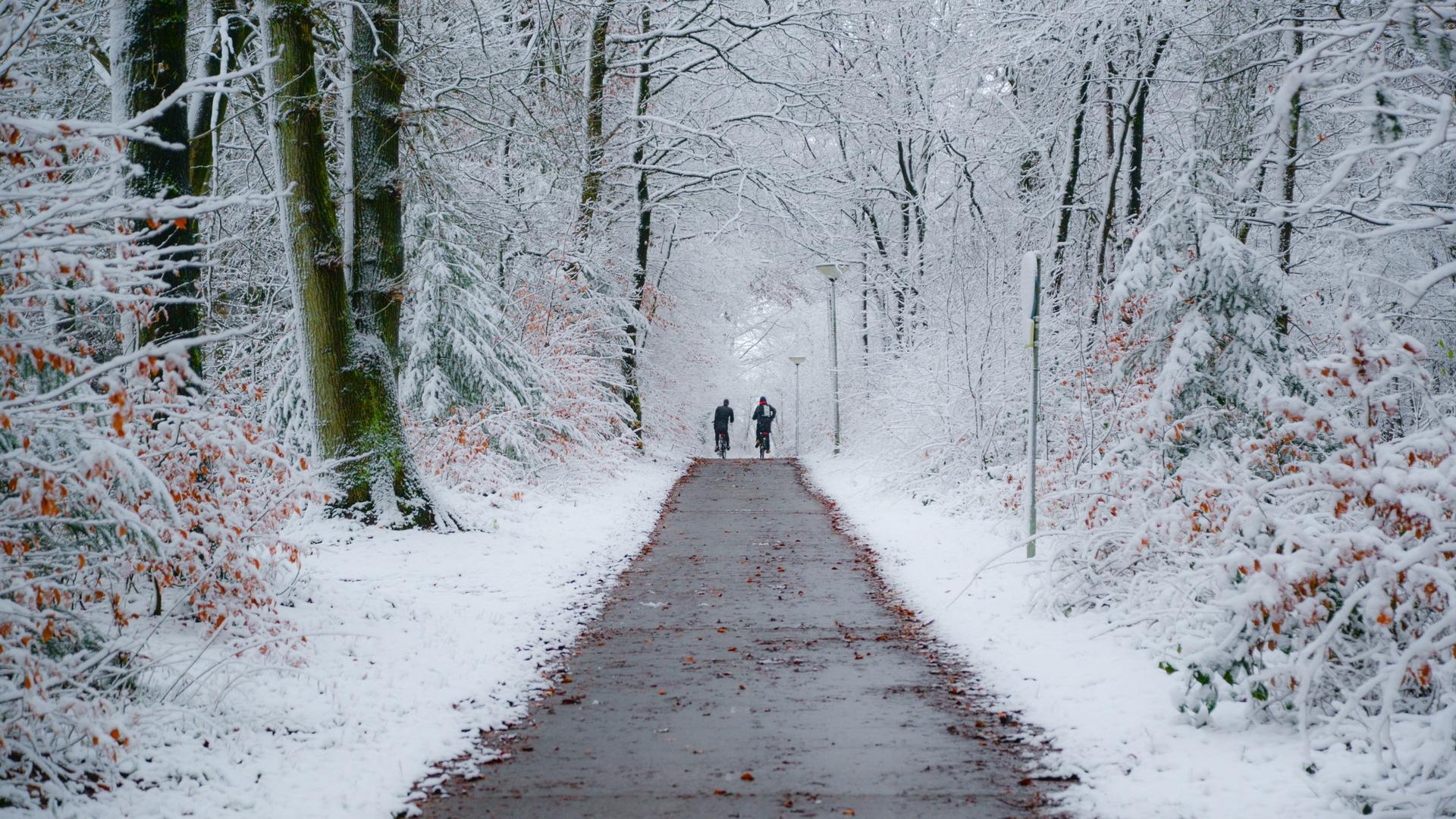 Winter fietspad sneeuw.jpeg